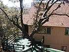 Lake Arrowhead Real Estate.